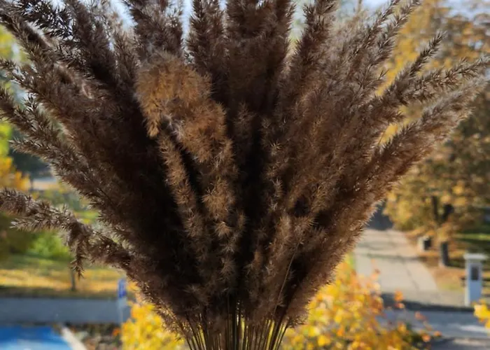 Apartment Keep Calm And Relax